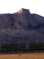 Yellowstone (47).JPG